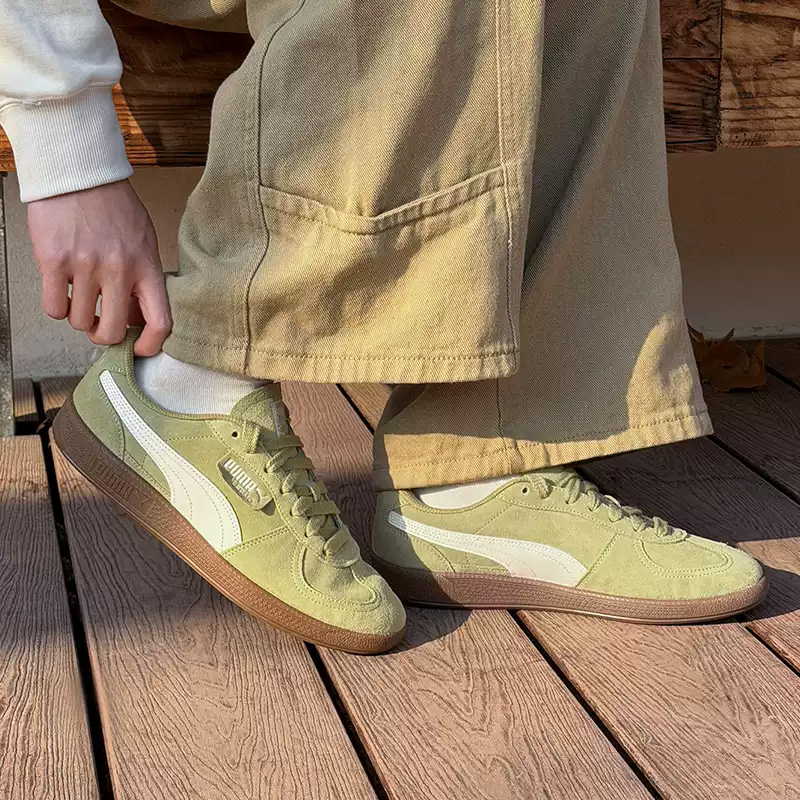 Puma sportschoenen voor heren  - Men Shoes Puma recensie en prijs